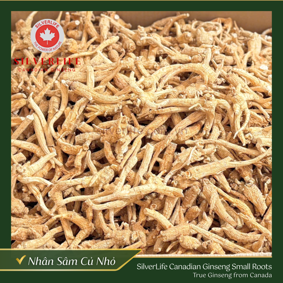Nhân Sâm Canada SilverLife Củ Nhỏ