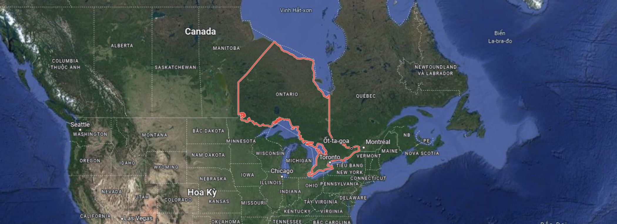 Thu hoạch nhân sâm Canada